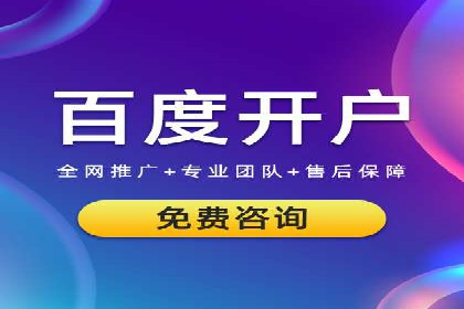 优化SEM竞价策略：成功案例剖析